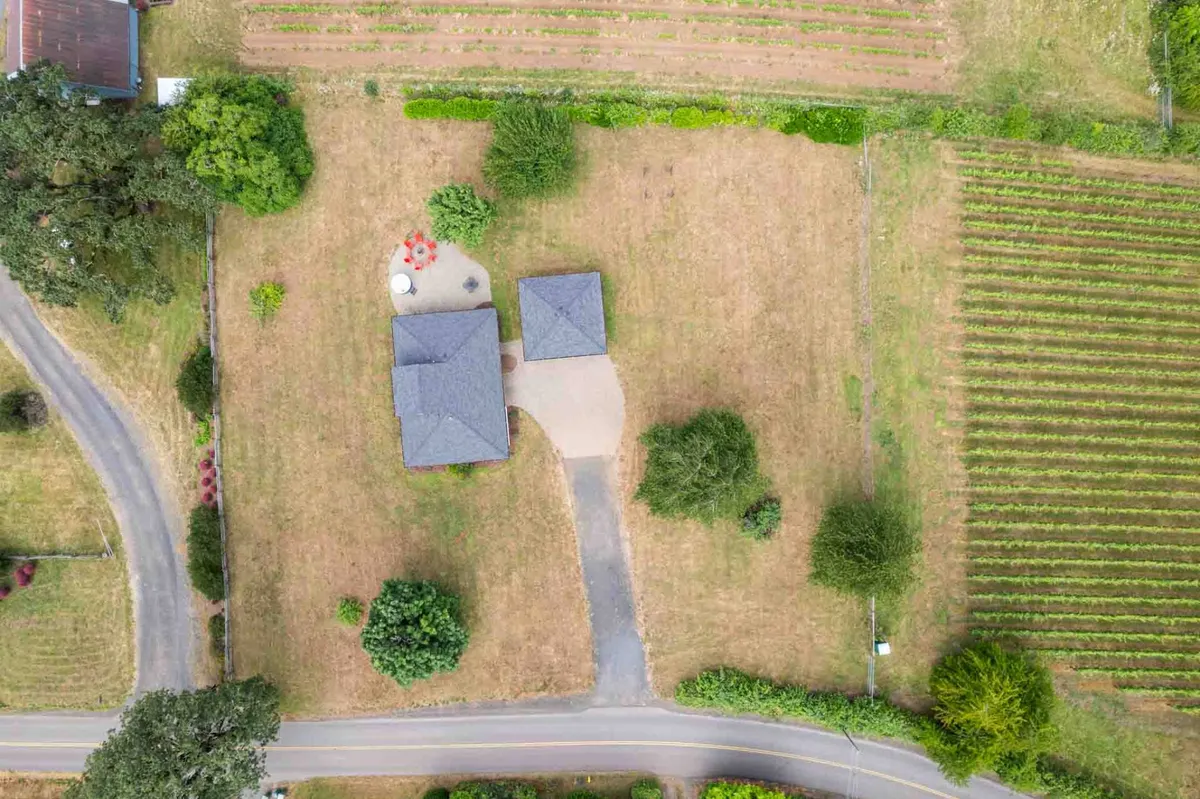 A wide exterior shot displaying the house, a circular patio, abundant greenery, and a nearby vineyard. The image evokes a sense of peaceful seclusion, expansive play space, and opportunities for memorable gatherings amidst nature.